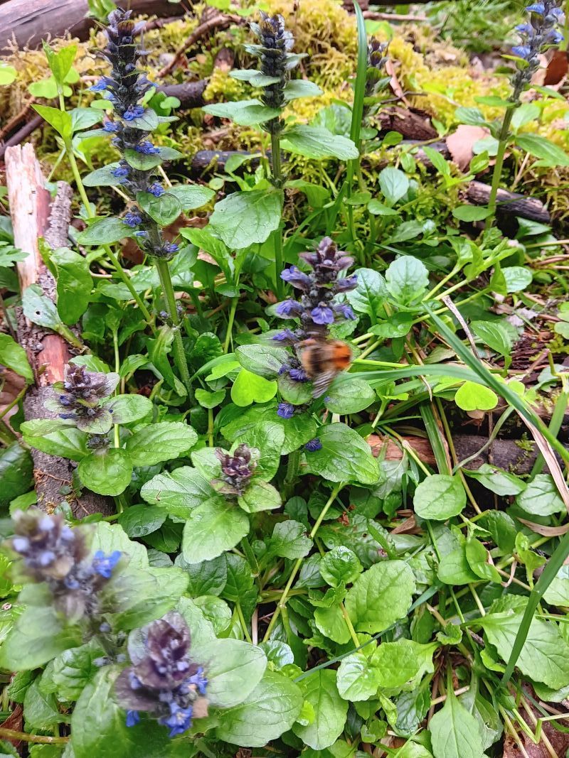 Kursfoto1